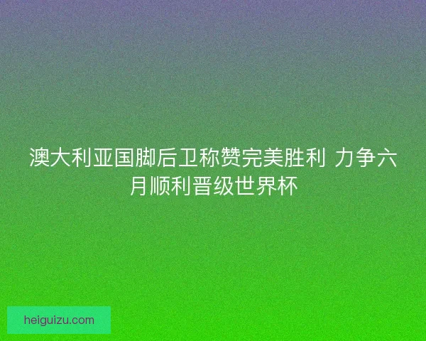 澳大利亚国脚后卫称赞完美胜利 力争六月顺利晋级世界杯