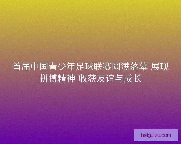 首届中国青少年足球联赛圆满落幕 展现拼搏精神 收获友谊与成长