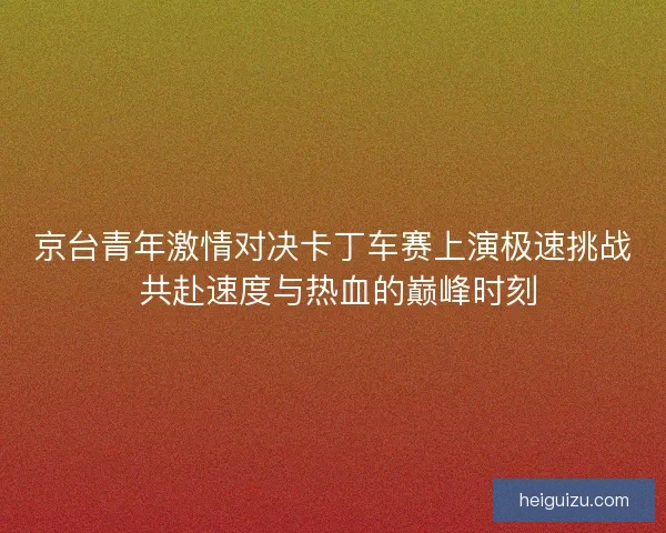 京台青年激情对决卡丁车赛上演极速挑战 共赴速度与热血的巅峰时刻