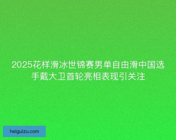 2025花样滑冰世锦赛男单自由滑中国选手戴大卫首轮亮相表现引关注 2025花样滑冰世锦赛男单自由滑中国选手戴大卫首轮亮相表现引关注