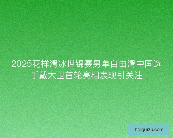 2025花样滑冰世锦赛男单自由滑中国选手戴大卫首轮亮相表现引关注 2025花样滑冰世锦赛男单自由滑中国选手戴大卫首轮亮相表现引关注